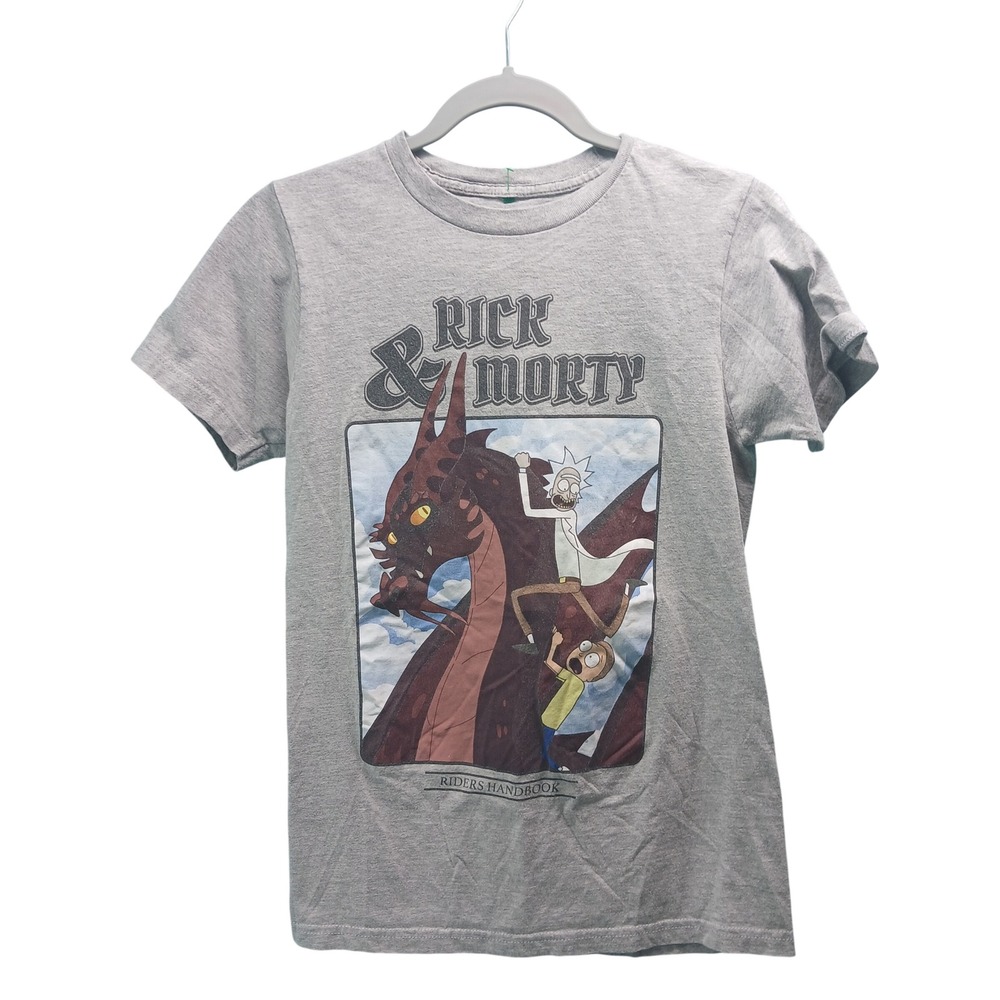 Rick and Morty Dragon Riders Handbook Graphic T-Shirt Gray Small Ripple Junction